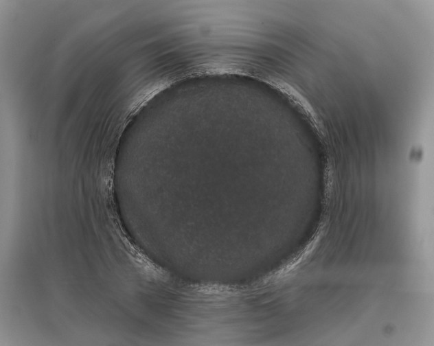 X0000097590785200803141854