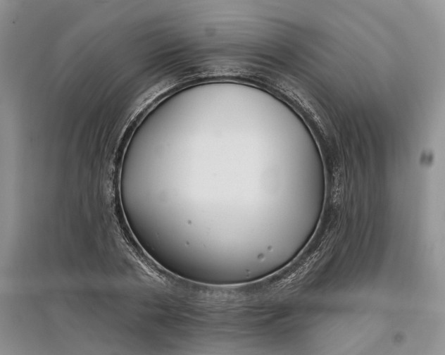 X0000097590786200803141854