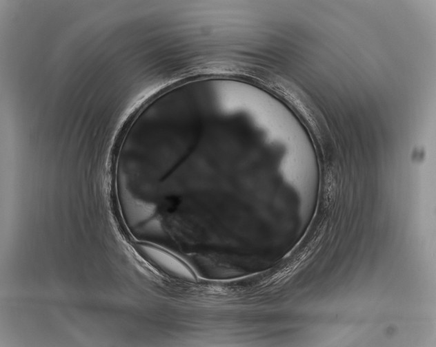 X0000097590787200803141854