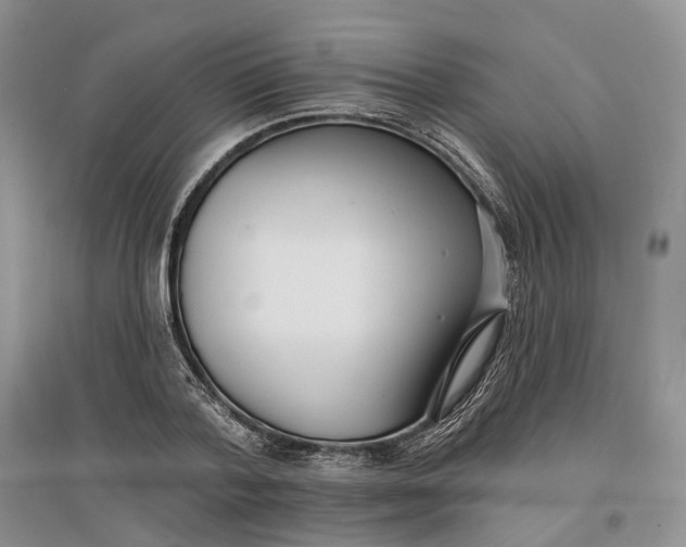 X0000097590788200803141853