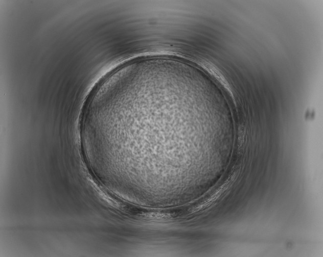 X0000097590789200803141853