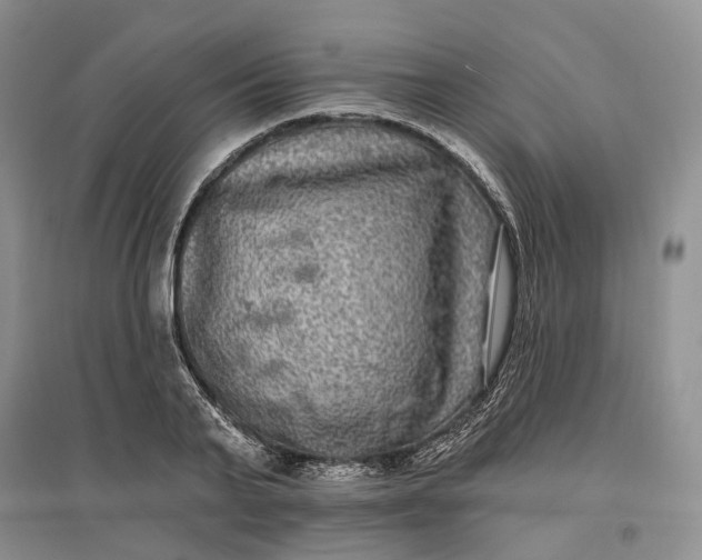 X0000097590791200803141853