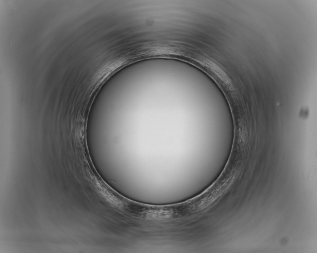 X0000097590793200803141853