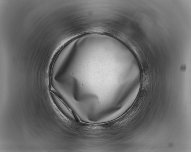 X0000097590795200803141853