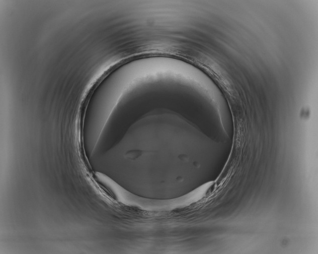 X0000097590796200803141853