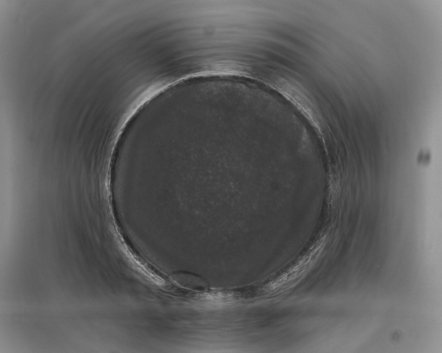 X0000097590797200803141853