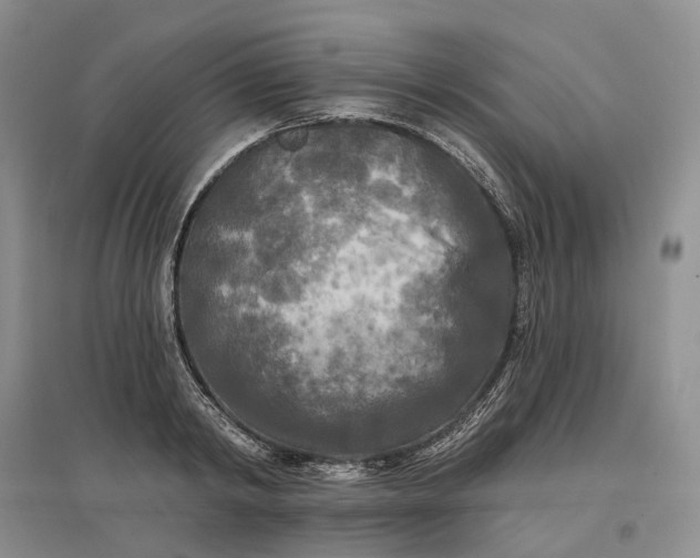 X0000097590798200803141853