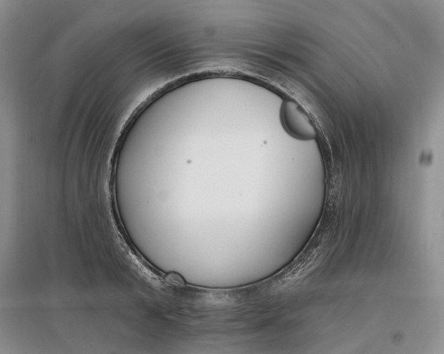 X0000097590799200803141853