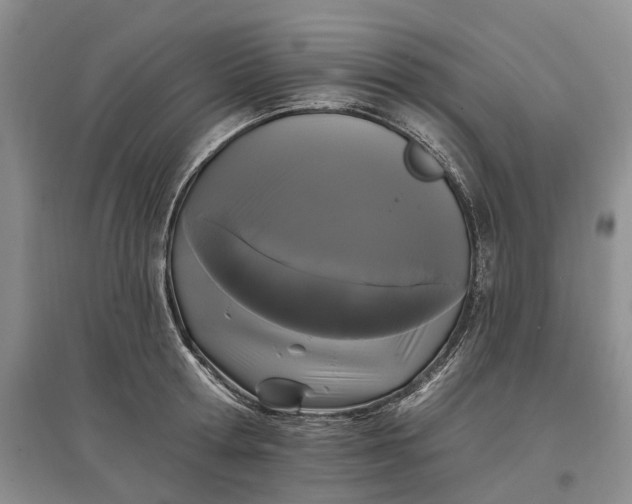 X0000097590802200803141853