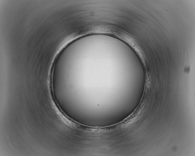 X0000097590803200803141853