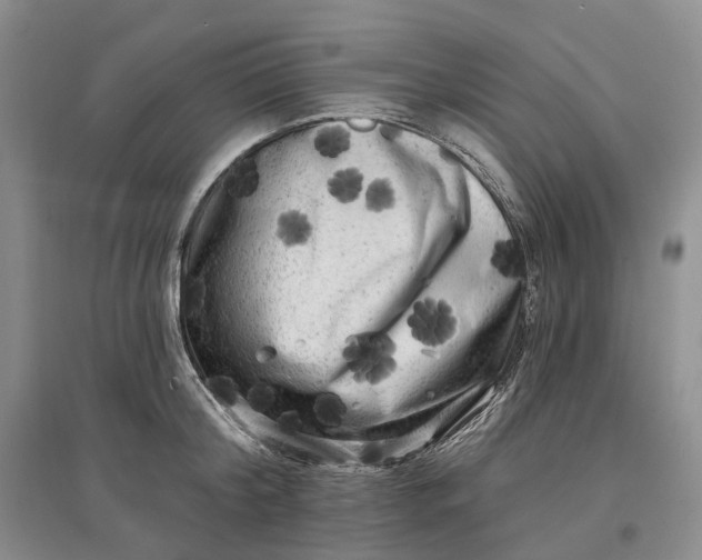 X0000097590804200803141853