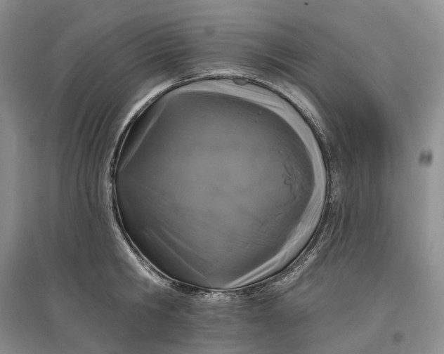 X0000097590806200803141853