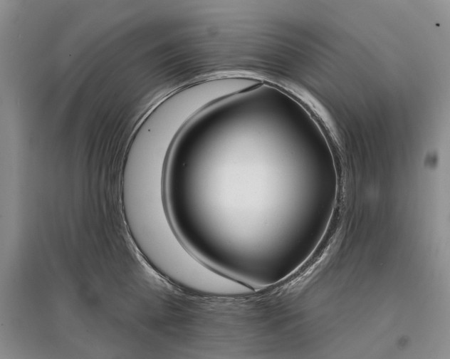 X0000097590809200803141853