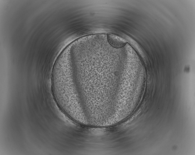 X0000097590810200803141853