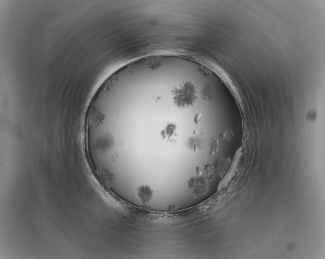 X0000097590811200803141853