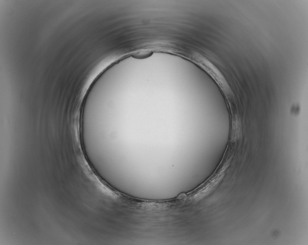 X0000097590812200803141853