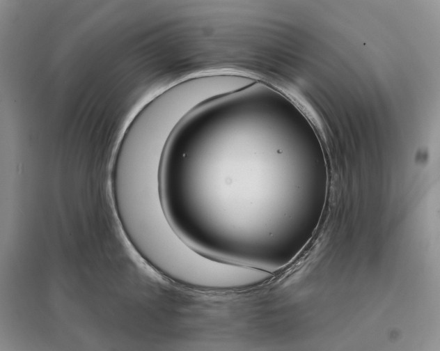 X0000097590813200803141853