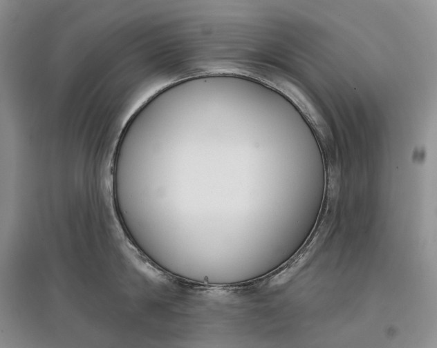 X0000097590814200803141853