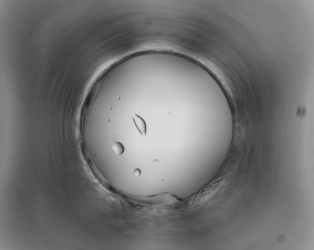 X0000097590815200803141853