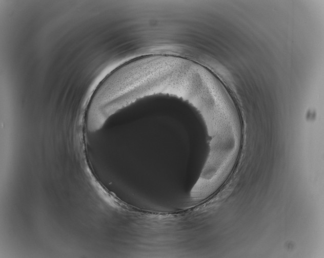 X0000097590816200803141853