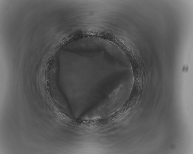 X0000097590817200803141852