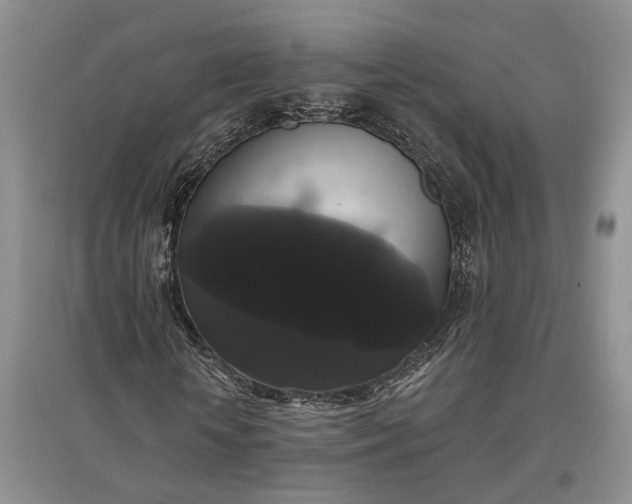 X0000097590818200803141852