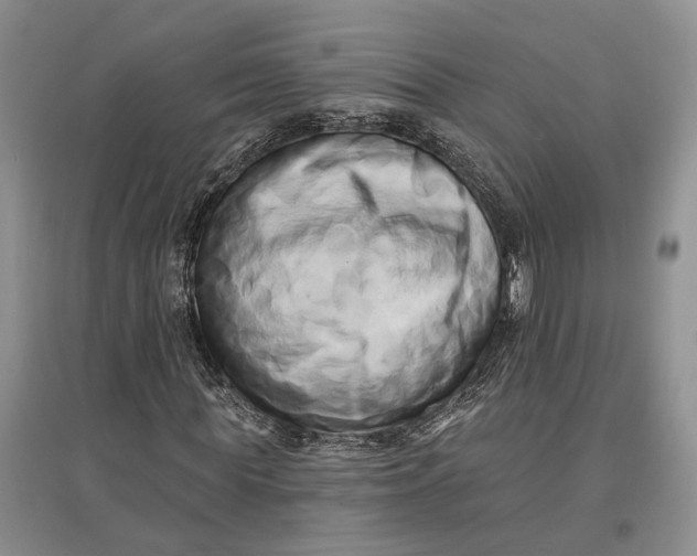 X0000097590819200803141852