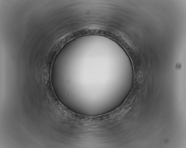 X0000097590821200803141853