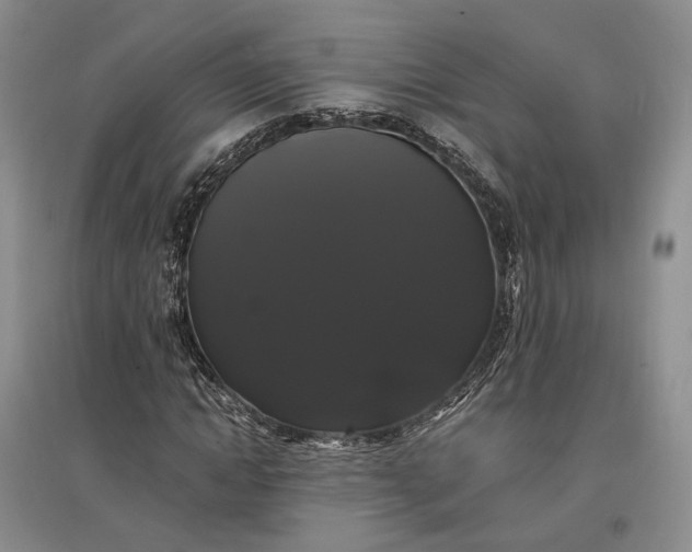 X0000097590822200803141853