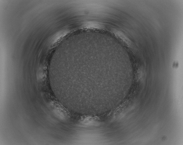 X0000097590824200803141853