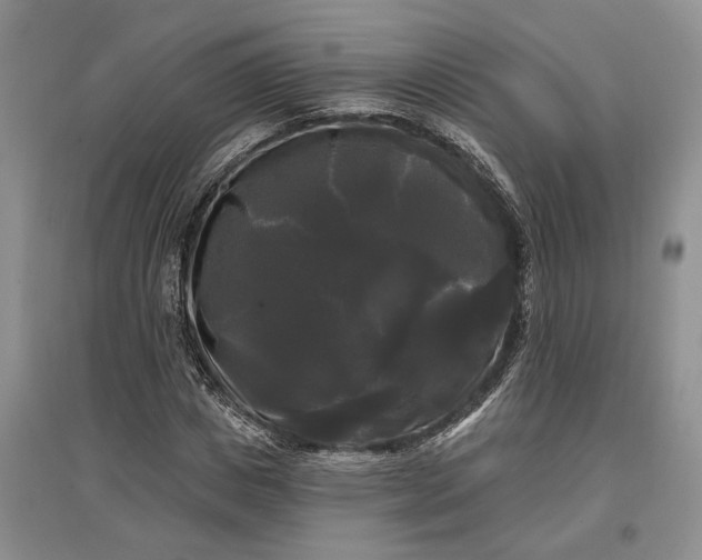 X0000097590825200803141853