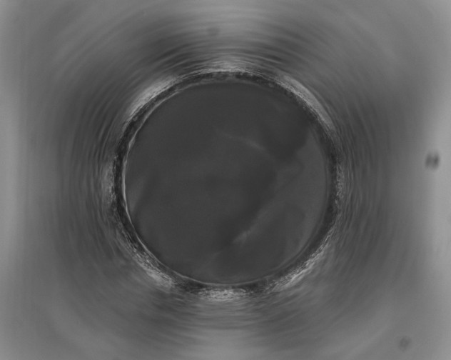 X0000097590826200803141853