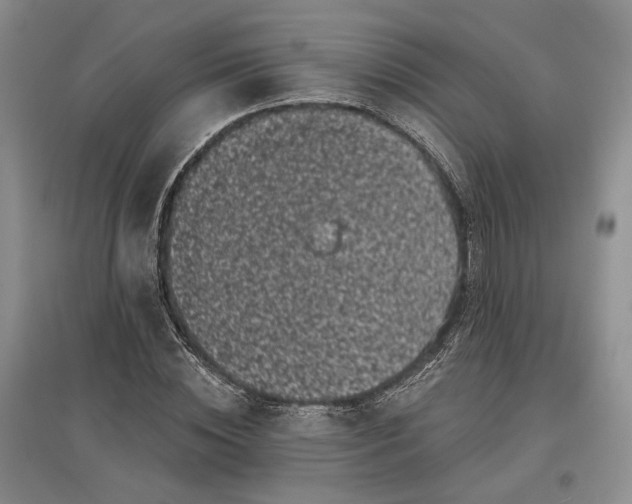 X0000097590828200803141853