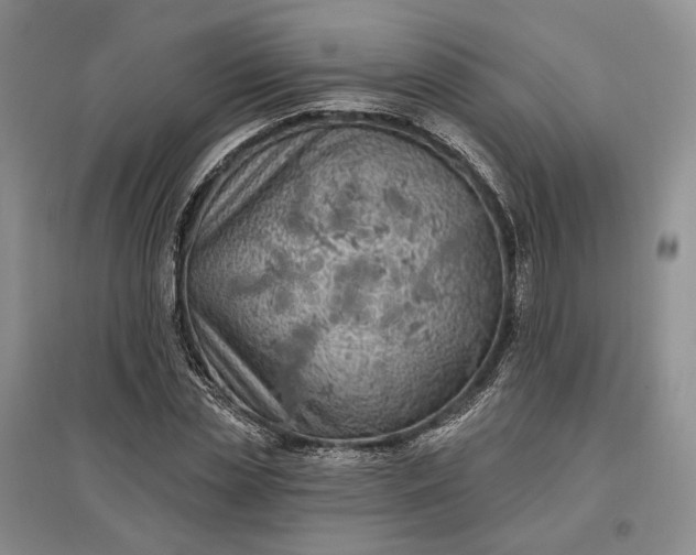 X0000097590829200803141853