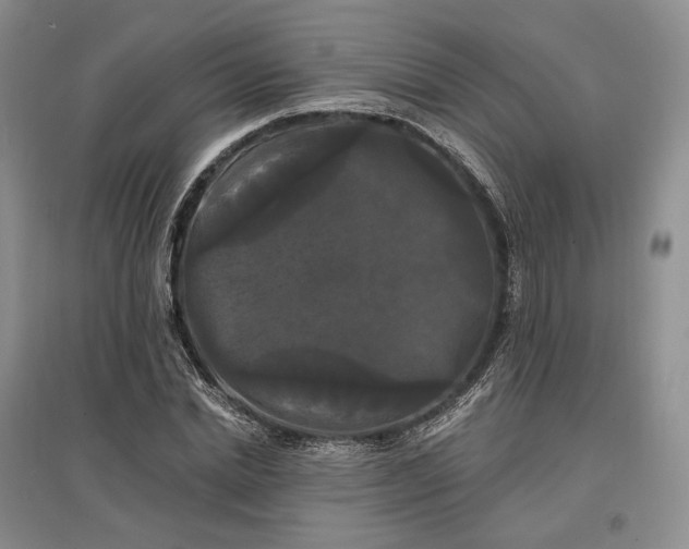 X0000097590830200803141853