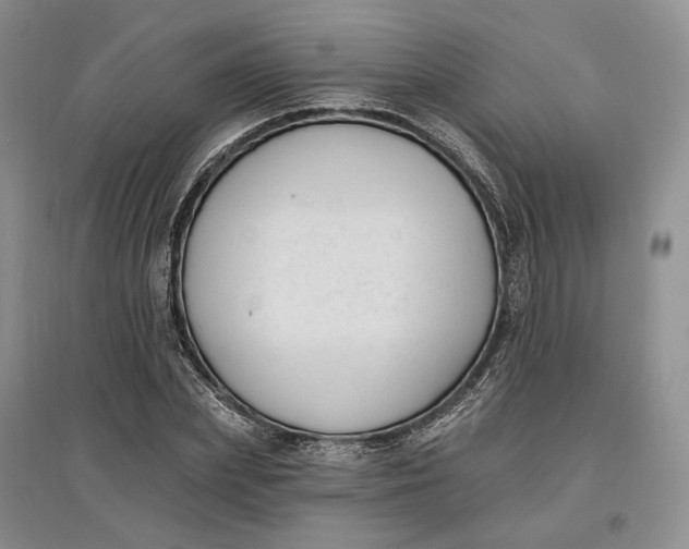 X0000097590831200803141853