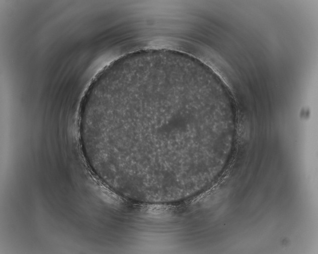 X0000097590832200803141853