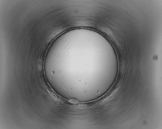 X0000097590833200803141853