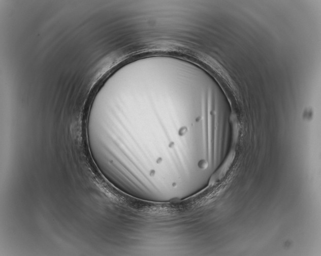 X0000097590834200803141853