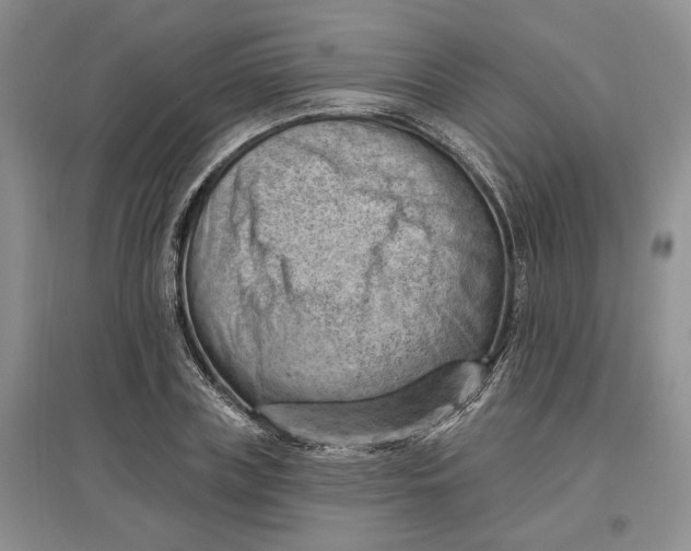 X0000097590835200803141853