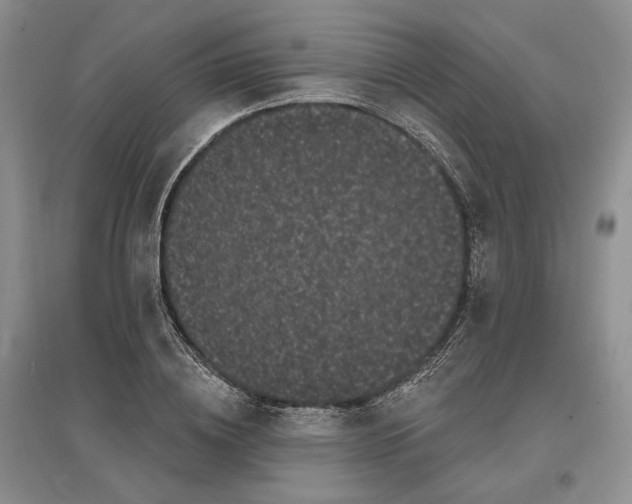 X0000097590836200803141853