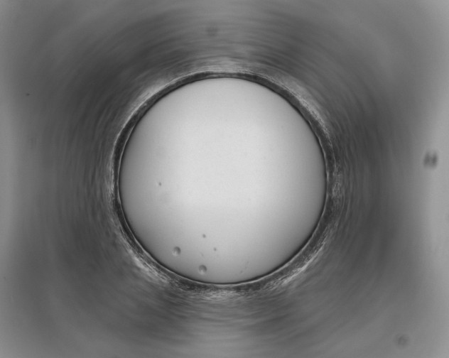 X0000097590837200803141853