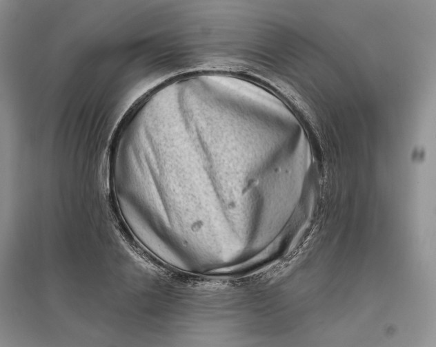 X0000097590838200803141853