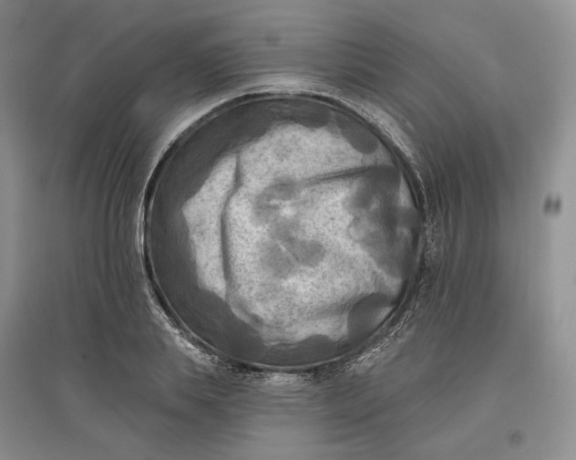 X0000097590839200803141853