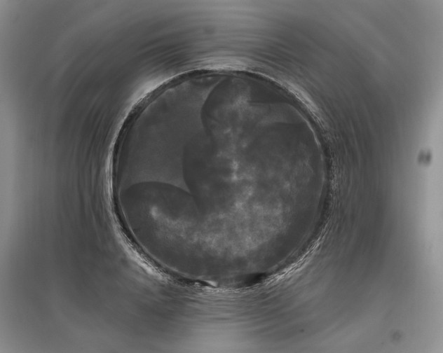 X0000097590840200803141853