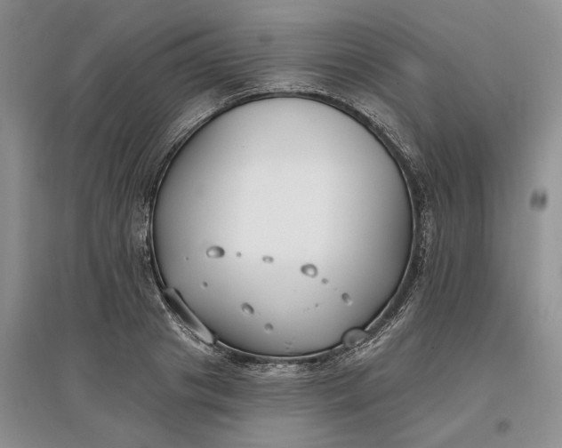 X0000097590841200803141853