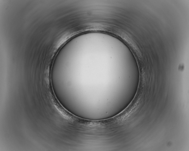 X0000097590842200803141853