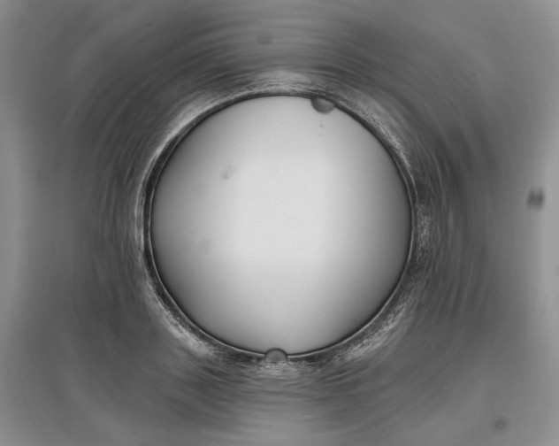 X0000097590843200803141853