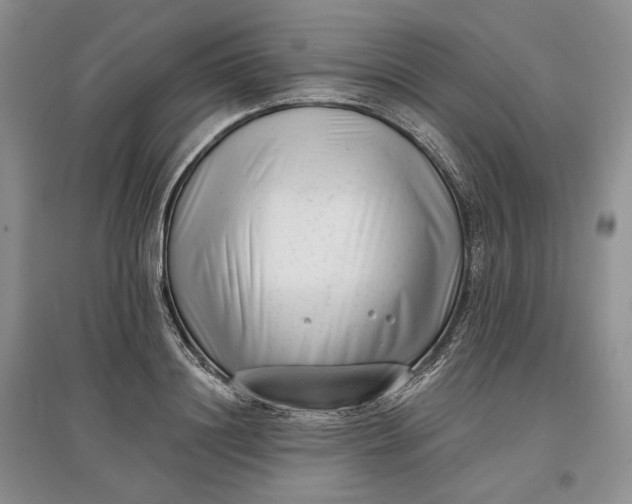 X0000097590844200803141853