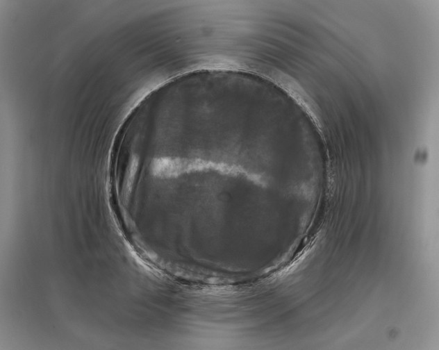 X0000097590845200803141853